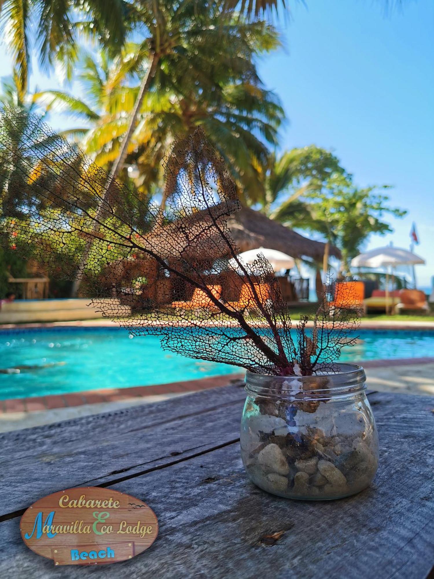 Beach Cabarete Ecolodge De Luxe Maravilla Encuentro Surf, Kite Exterior foto